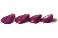 boki-cobs-1-.jpg