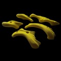 climbing-holds-dumplings-megajugs (2).jpg