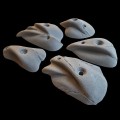 klettergriffe-tripoint-dumplings-2 (2).jpg