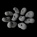 klettergriffe-dots-1 (1).jpg