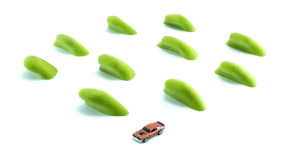 Winter Medium 4 - Medium Jugs [Kilter Aragon]