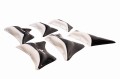 next hydra IMG_0820.jpg