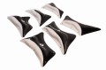 next hydra IMG_0827.jpg