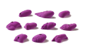 adventure-boki.png