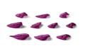apo-crimps-bok-.jpg