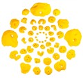 a37f35cd1d8f71af8dcd3b174352e79c