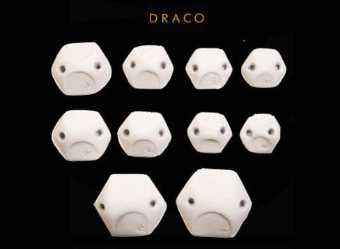 draco.JPG