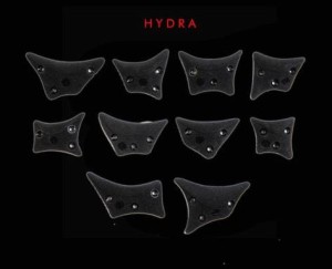 HYDRA Footholds [Next]
