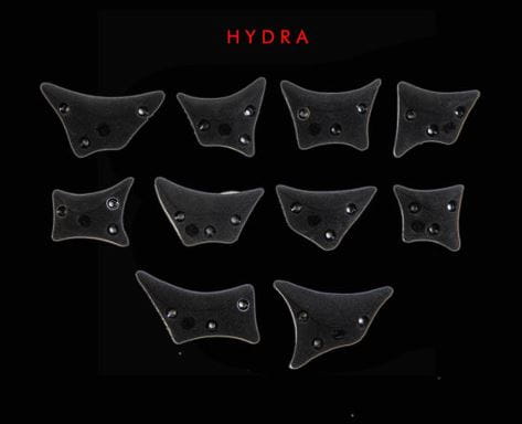 HYDRA.JPG