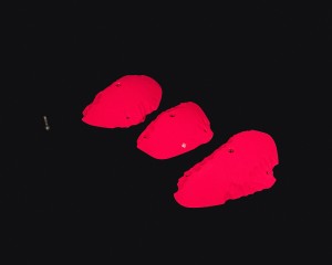 RIDGES - EDGES INCUT [Chapter]