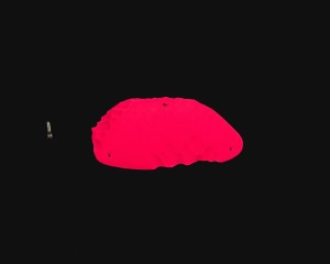 RIDGES - SLOPER BIG 2 [Chapter]