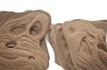 550_800x.webp